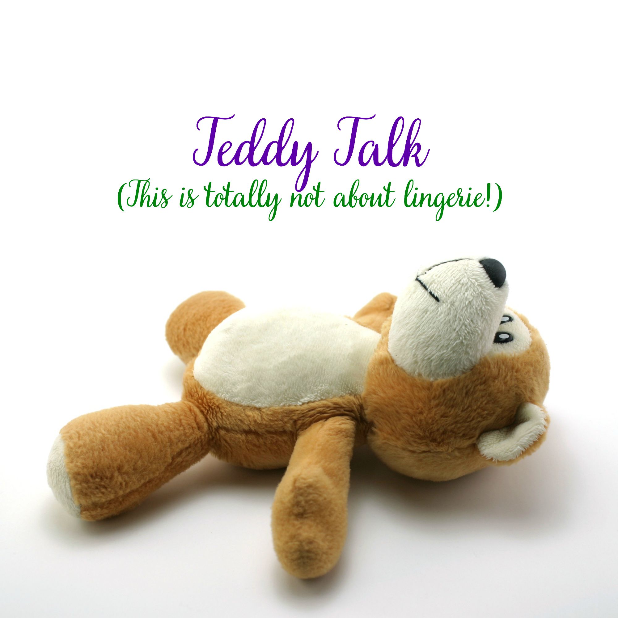 talk back teddy bear