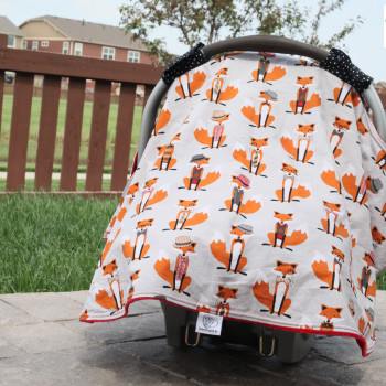 Review: Hemmed In 3-in-1 Canopy, It’s Not Just a Carseat Cover