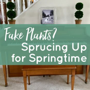 Fake Plants? Sprucing Up for Springtime