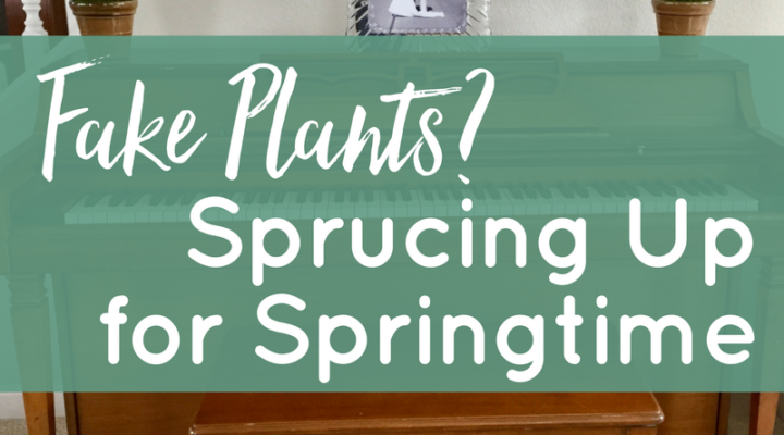 Fake Plants? Sprucing Up for Springtime